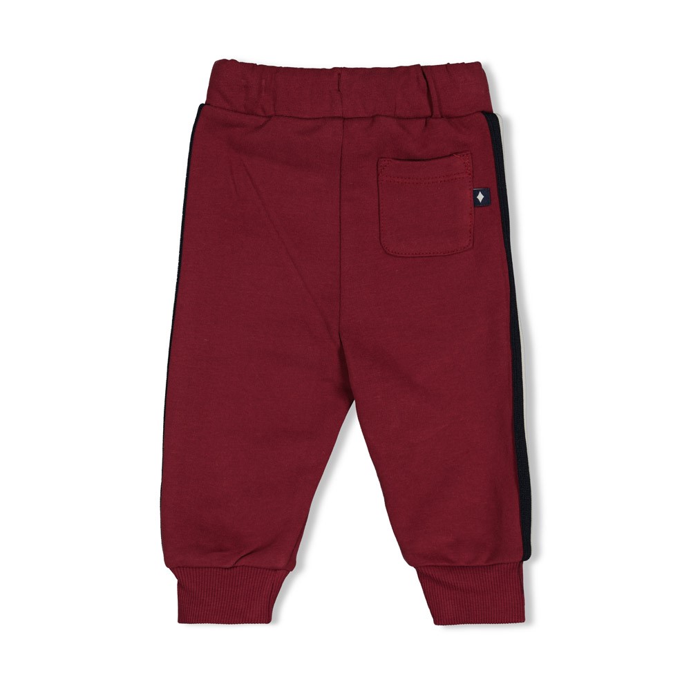 Feetje | Broek Boys Built for Fun Bordeaux