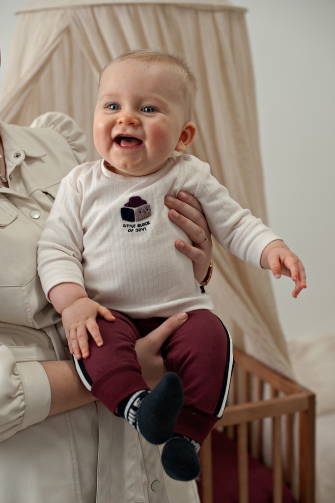 Feetje | Broek Boys Built for Fun Bordeaux