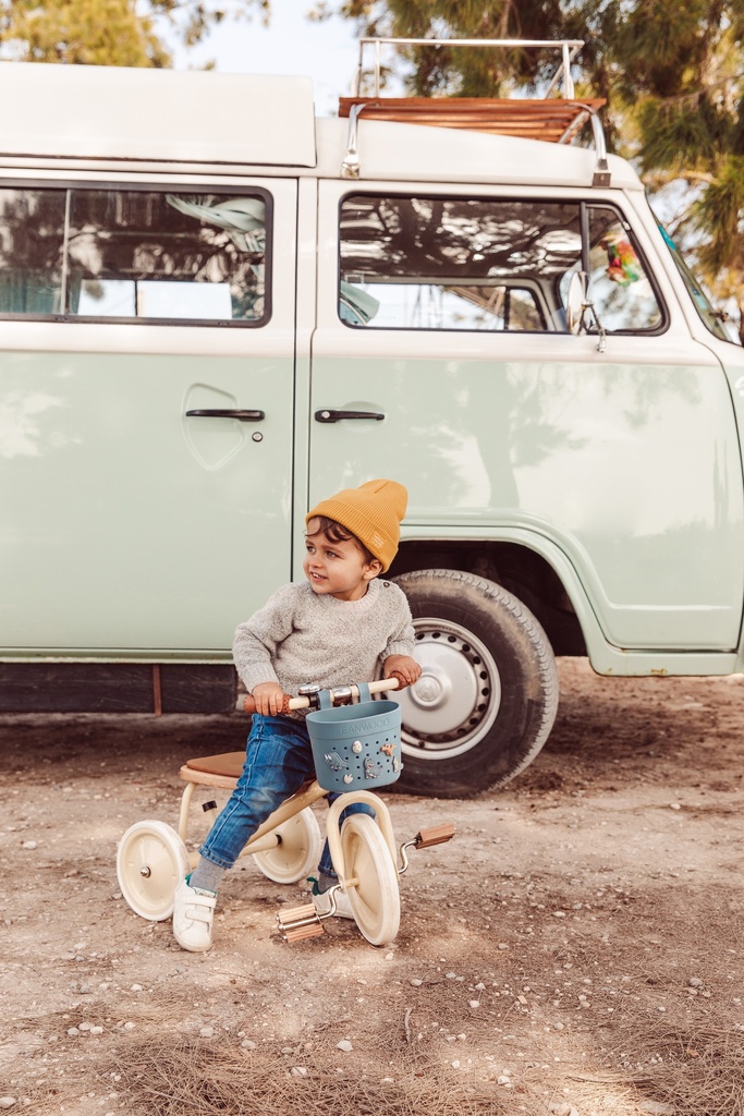 Banwood | fietsmand pin & ride teal