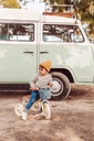 Banwood | fietsmand pin & ride teal