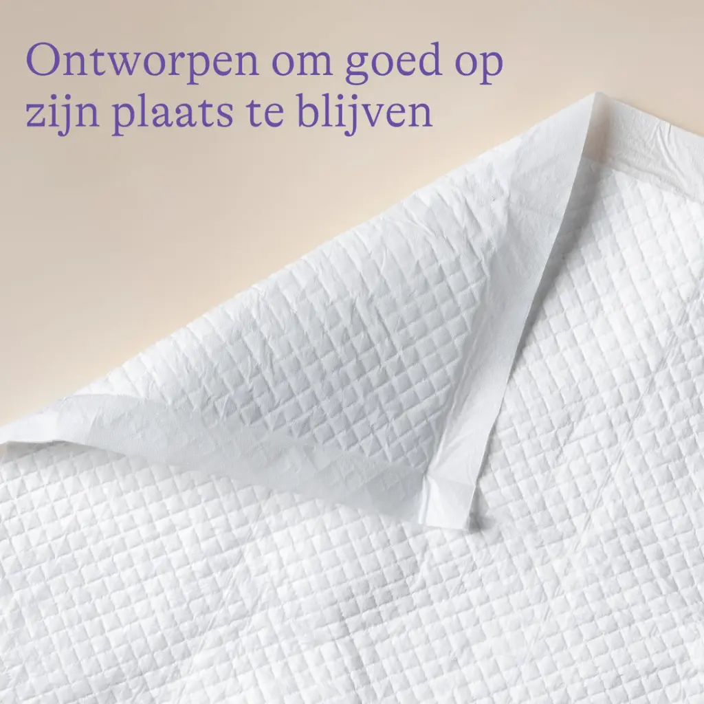 Lansinoh | Na De Bevalling Postpartum Lekbeschermingskit 