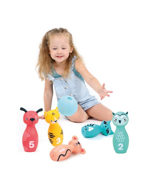 Ludi | Gezelschapsspel Bowling Set +10m