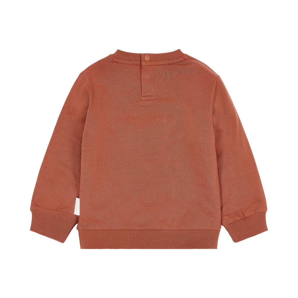 Little Dutch | Sweater Boys Safari Friends Desert Red