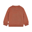 Little Dutch | Sweater Boys Safari Friends Desert Red