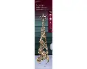 Lumineo | Verlichting Led Kegel Flashing Effect Goud Buiten Ø20x80cm
