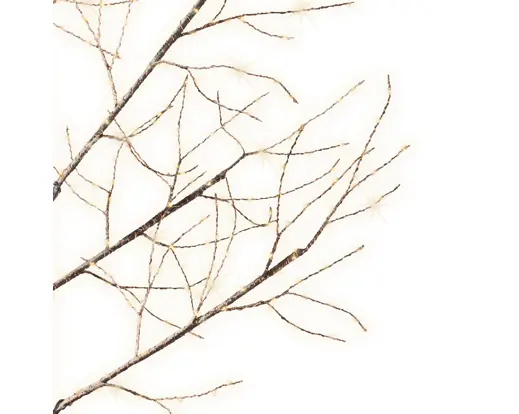 Lumineo | Verlichting Led Boom Snowy Branch Bruin/Warm Wit Ø100x180cm Buiten