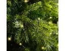 Lumineo | Verlichting Led Basic Lights In/Outdoor 360 Leds Soft Gold 2700cm