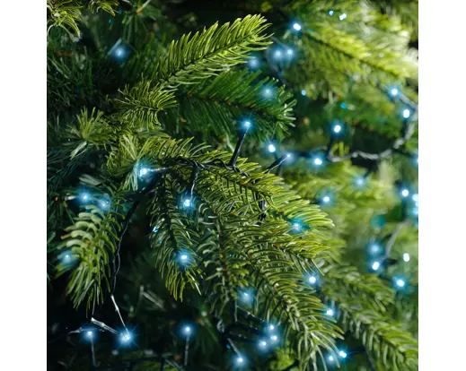 Lumineo | Verlichting Led Compact Lights Twinkel Effect 8 Functies Groen/Blauw 1600cm Buiten