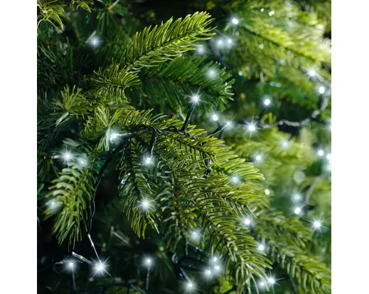 Lumineo | Verlichting Led Compact Lights Twinkel Effect 8 Functie Groen/Koel Wit Buiten