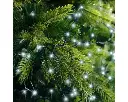 Lumineo | Verlichting Led Compact Lights Twinkel Effect 8 Functie Groen/Koel Wit Buiten