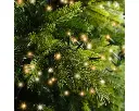 Lumineo | Verlichting Led Compact Lights Twinkel Effect 8 Functies Groen/Warm Wit 1600cm Buiten