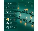 Lumineo | Verlichting Led Compact Lights Twinkel Effect 8 Functies Groen/Warm Wit 1600cm Buiten