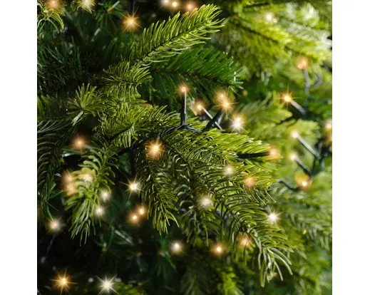 Lumineo | Verlichting Led Compact Lights Twinkel Effect 8 Functies Groen/Klassiek Warm 6000cm Buiten