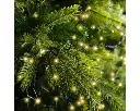 Lumineo | Verlichting Led Compact Lights Twinkel Effect 8 Functies Groen/Soft Gold 2250cm Buiten