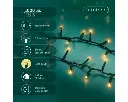 Lumineo | Verlichting Led Compact Lights Twinkel Effect 8 Functies Groen/Soft Gold 2250cm Buiten