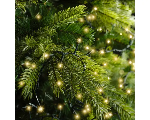 Lumineo | Verlichting Led Compact Lights Twinkel Effect 8 Functies Groen/Soft Gold 6000cm Buiten