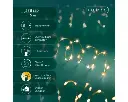 Lumineo | Verlichting Led Extra Dense Lights Twinkel Effect 8 Functies Goud/Klassiek Warm 600cm Buiten