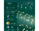 Lumineo | Verlichting Led Extra Dense Lights Twinkel Effect 8 Functies Goud/Klassiek Warm 900cm Buiten