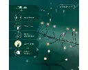 Lumineo | Verlichting Led Compact Twinkle Outdoor  Zwart/Warm Wit 600cm
