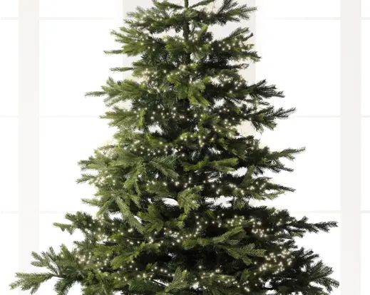Lumineo | Verlichting Led Compact Twinkle In/Outdoor  Zwart/Klassiek Warm 600cm