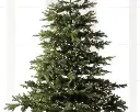 Lumineo | Verlichting Led Compact Twinkle In/Outdoor  Zwart/Klassiek Warm 600cm