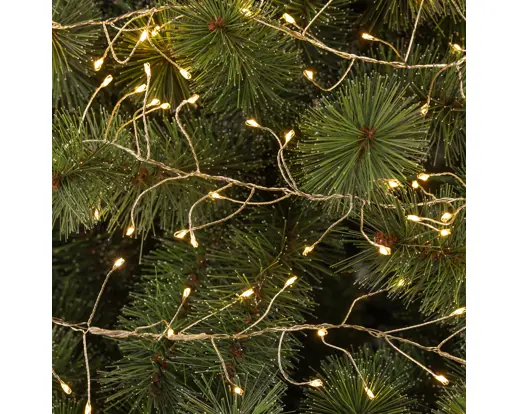 Lumineo | Verlichting Led Compact Twinkle In/Outdoor 3000 Leds Zilver/Warm Warm 1200cm