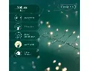 Lumineo | Verlichting Led Compact Twinkle In/Outdoor 3000 Leds Zilver/Warm Warm 1200cm