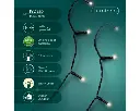 Lumineo | Verlichting Led Durawise Basic Lights Twinkel Effect 8 Functies Zwart/Warm Wit 1430cm Buiten