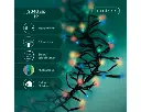 Lumineo | Verlichting Led Cluster Twinkel Effect 8 Functies Zwart/Multicolor 1900cm Buiten