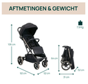 Chicco | Buggy Dolomiti Charcoal