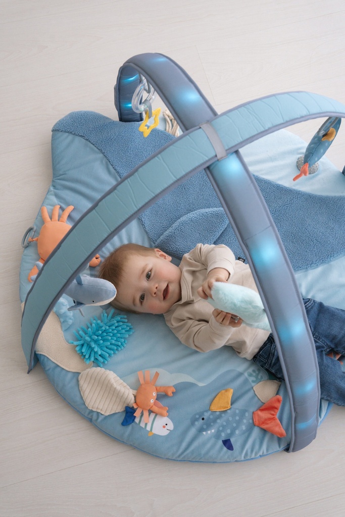 Bo Jungle | Speeltapijt met Speelboog 'Little Whale Bay' Musical & Light Play Gym 
