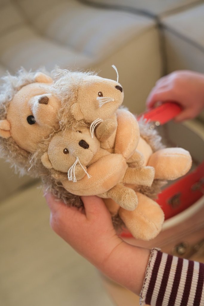 Egmont | Pluche Knuffel Mama Egel met Tweeling