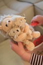 Egmont | Pluche Knuffel Mama Egel met Tweeling