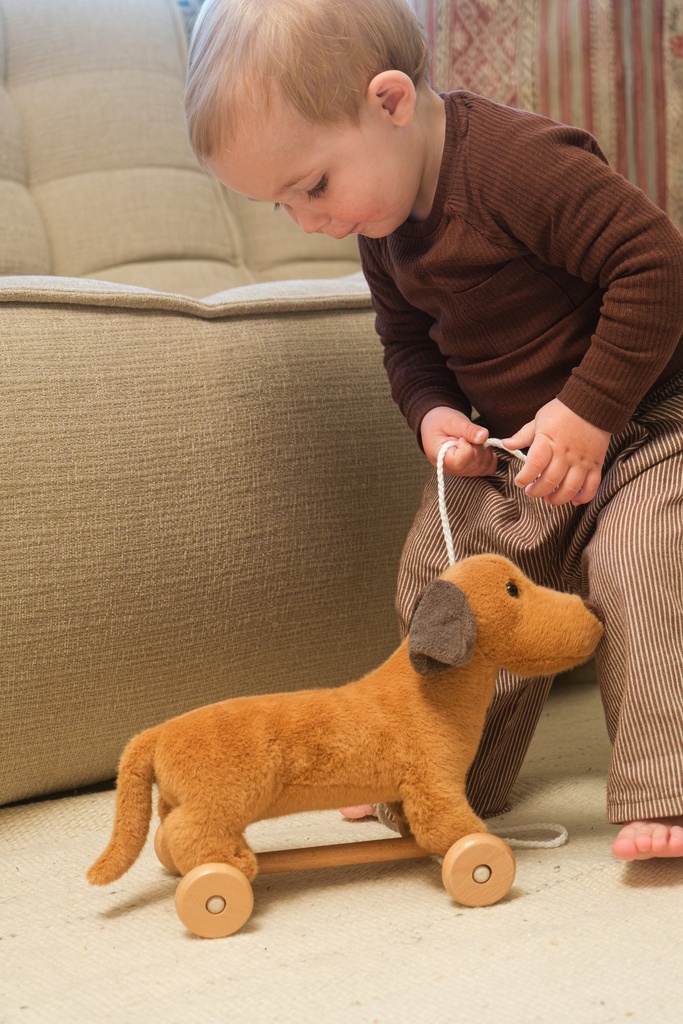 Egmont | Trekfiguur Edward de Hond