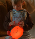 Atelier Pierre | Nachtlamp Theo Krab Led 12,8x18x9,6cm