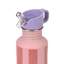Laessig | Drinkfles Unique Stripes Fruits Bottle Stainless Steel  