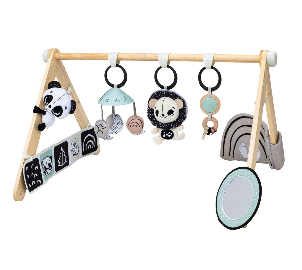 Tiny Love | Speeltapijt met Speelboog Luxe Gymini Black & White Decor