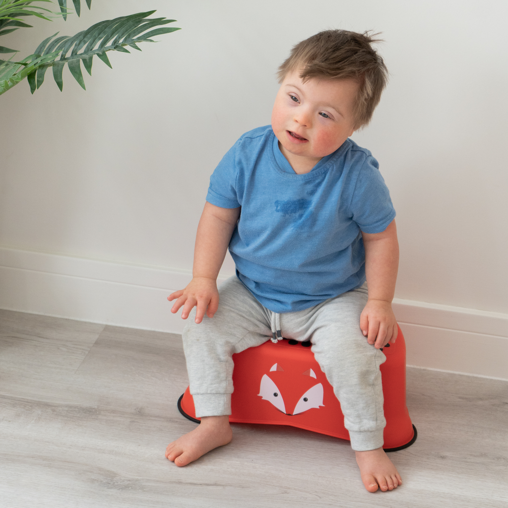 Jippie's | My Step Stool Vos