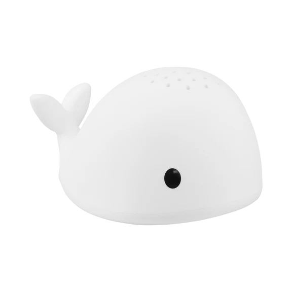 Flow | Projector Moby Walvis 