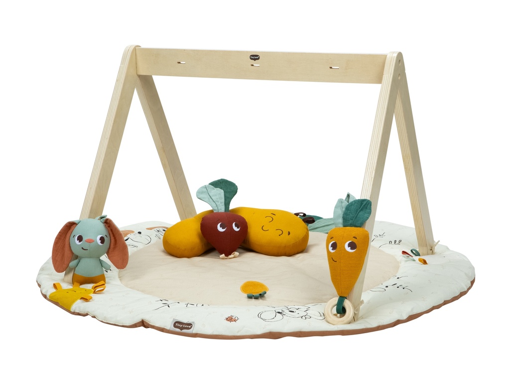 Tiny Love | Speeltapijt met Speelboog Luxe Gymini Garden of Adventures