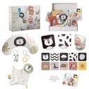 Taf Toys | Giftset Newborn Develop & Play Kit     