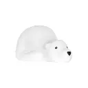 PROJECTORS Björn White