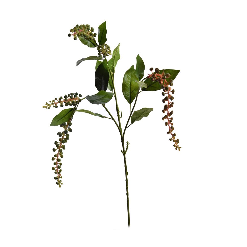 PHYTOLACCA AMERICANA SPRAY 74 CM GREEN
