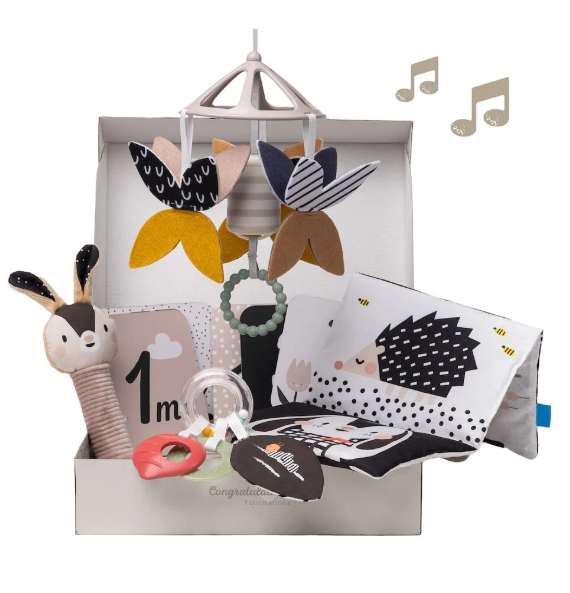 Taf Toys | Giftset Newborn Black & White Kit