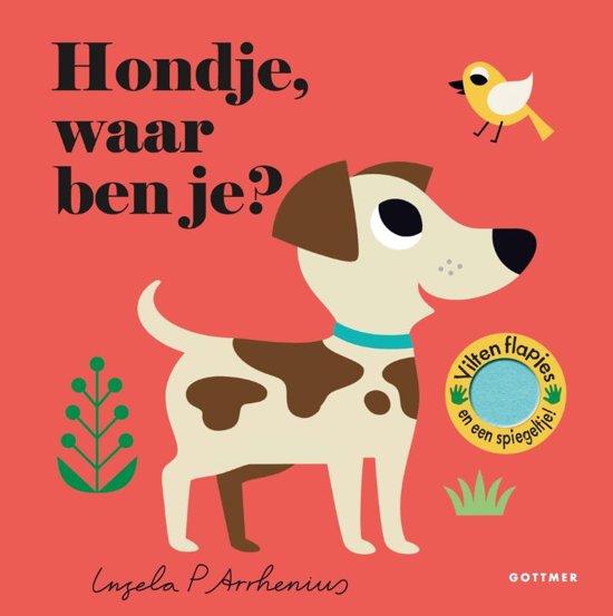 LEESBOEK, Hondje, waar ben je? zoek en vind voor de allerkleinsten