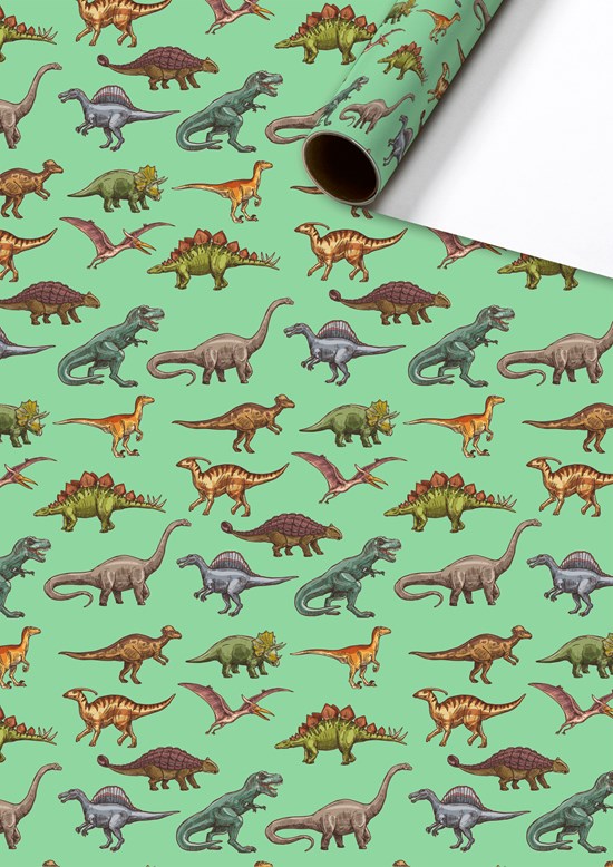 Stewo | Geschenkpapier Rol Saurus Groen 70x200cm