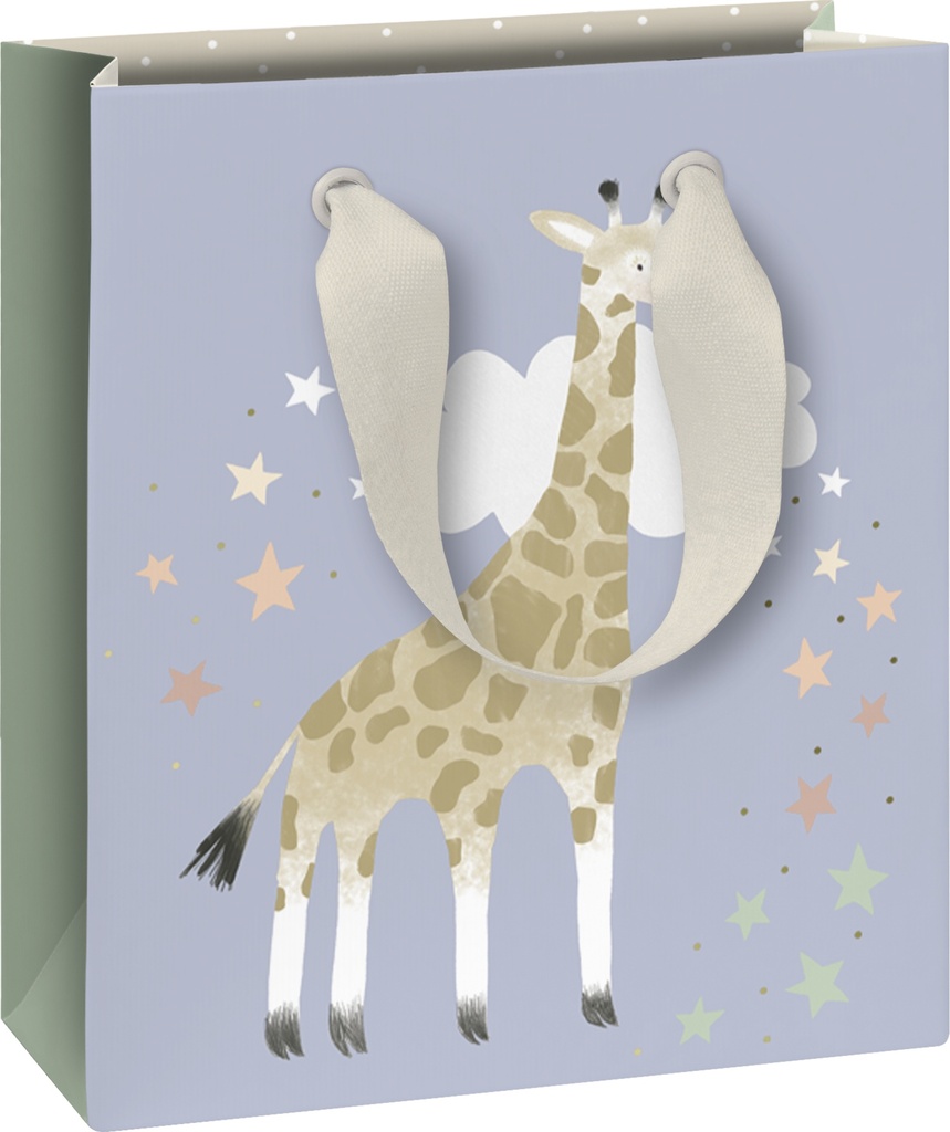 Stewo | Geschenkzak Mimmo Groen 18x8x21cm