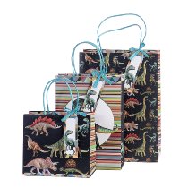 Stewo | Geschenkzak Dinosaurus 18x16x8cm 