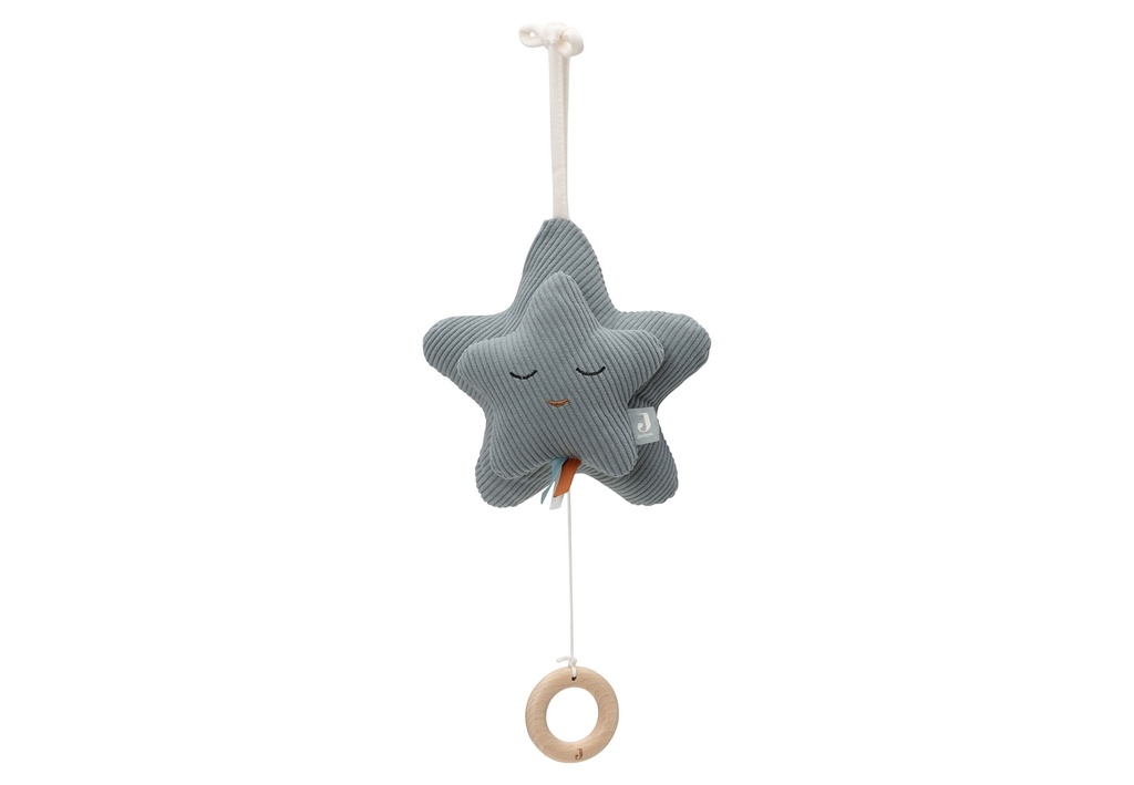 Jollein | Muziekhanger Star Sea Green Groen