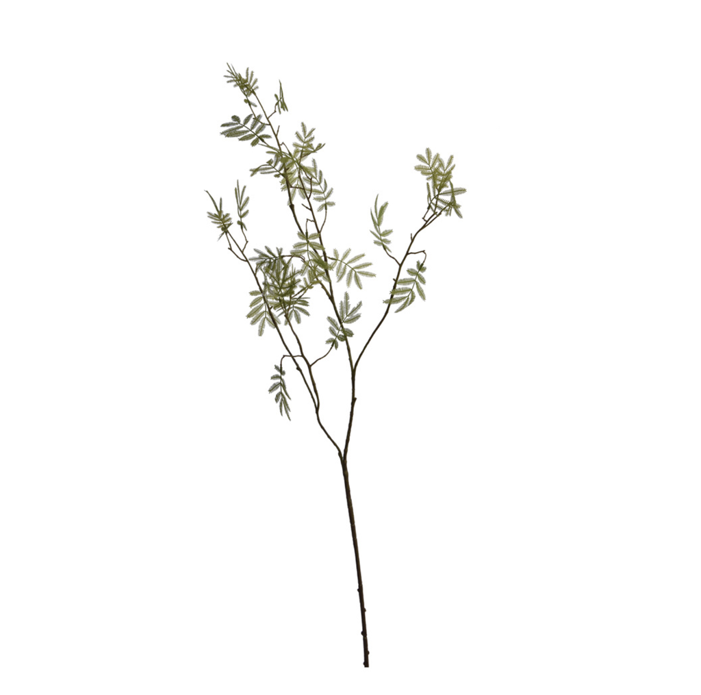 Jasaco |  MIMOSA LEAVES SPRAY 92CM GREEN